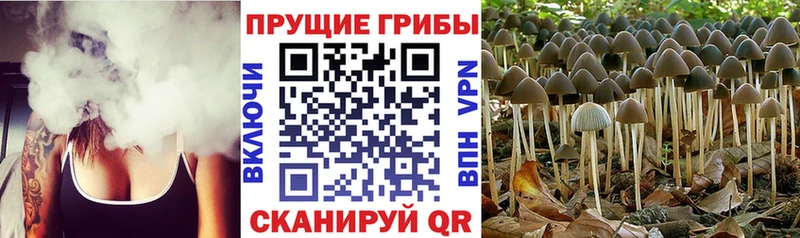 где продают   kraken ССЫЛКА  даркнет официальный сайт  Бугульма  Галлюциногенные грибы MAGIC MUSHROOMS 